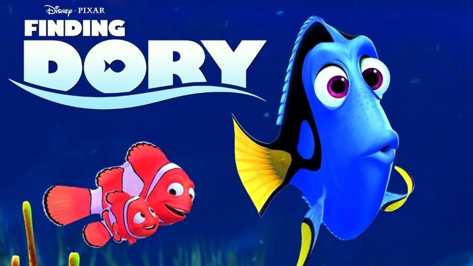Xem phim Đi Tìm Dory - Vsmov